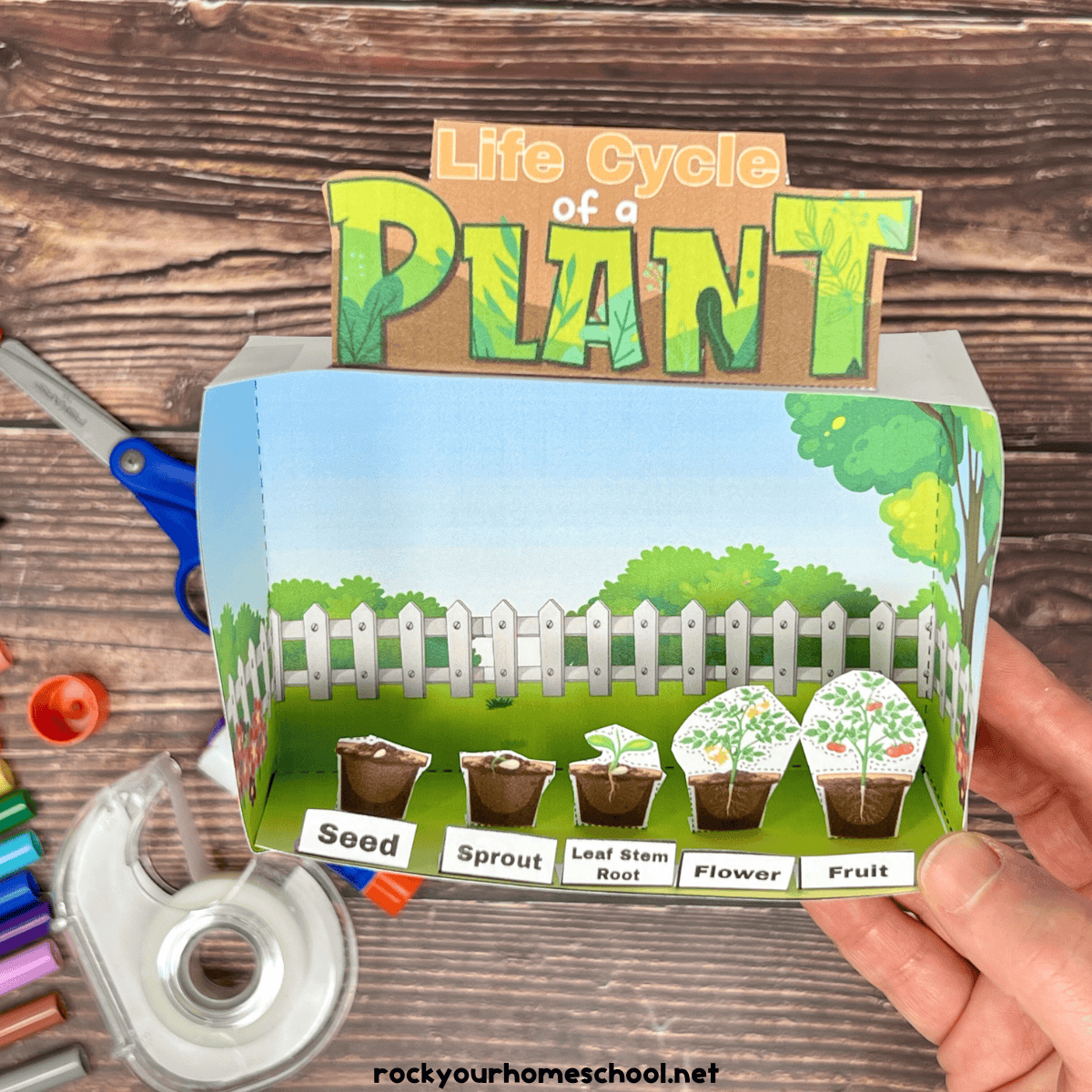 plant life cycle project: free printable diorama kit - rock your